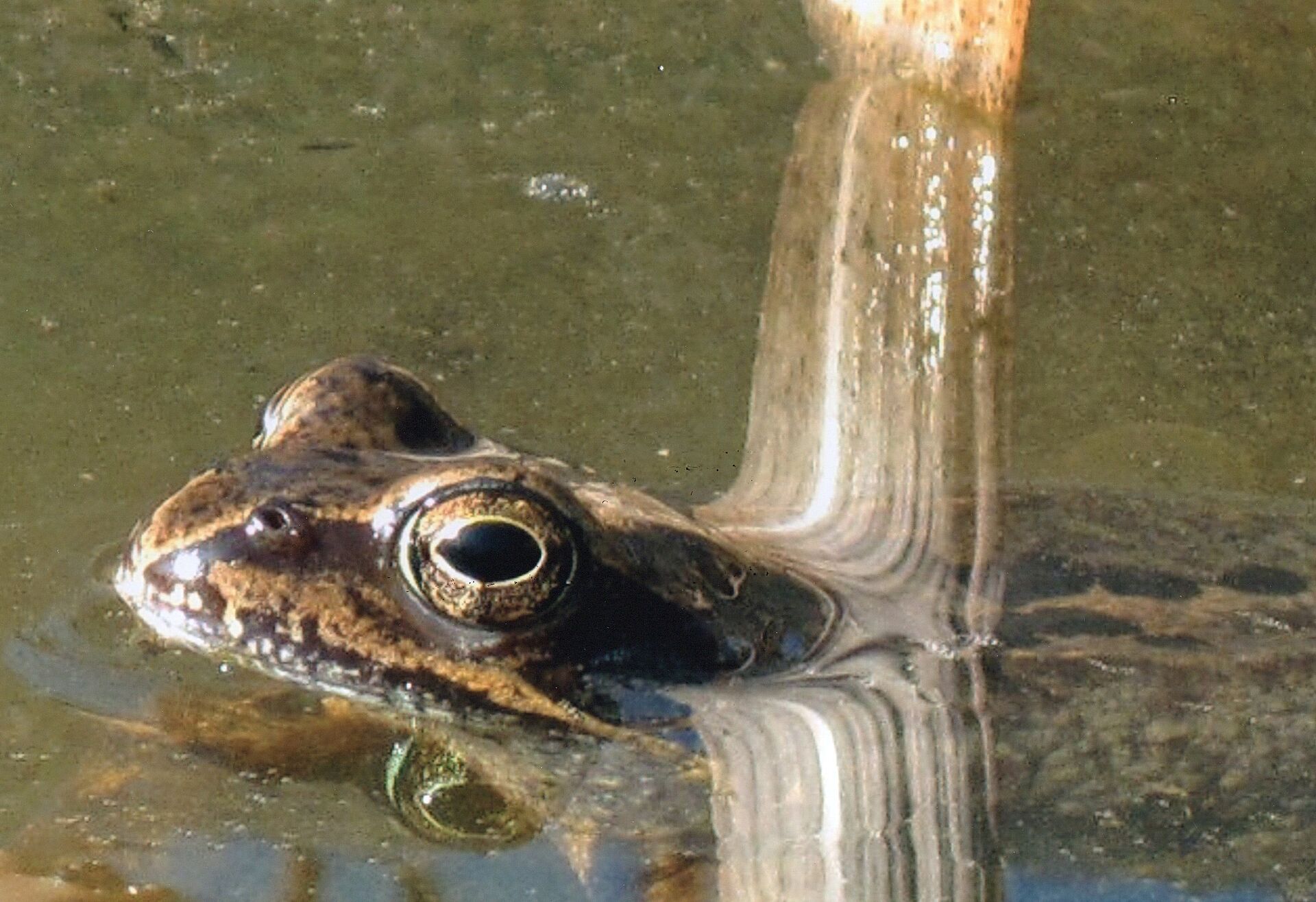 Preisverleihung des Kinder und Jugendfotowettbewerb 2015 BUND